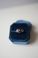 DSC06630.jpg